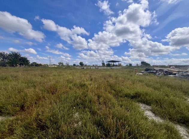 Plot * - Resale - Catral * - DSC-41402