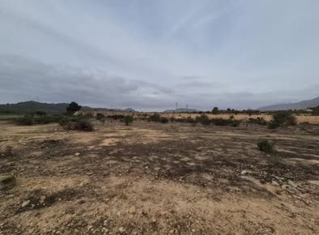 Plot * - Resale - Hondón de las Nieves - Hondón de las Nieves * 