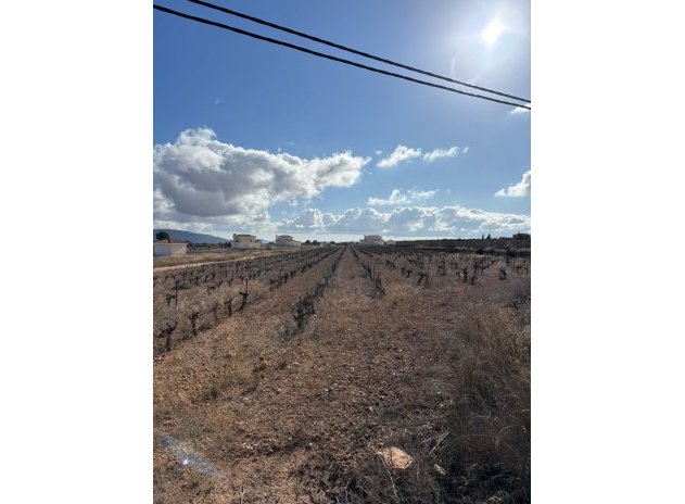 Plot * - Resale - Pinoso * - Pinoso *