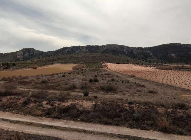 Plot - Resale - Villena - Villena