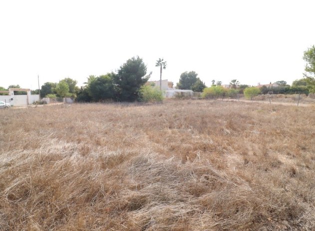 Plot - Wiederverkauf - Orihuela Costa - DSC-55289