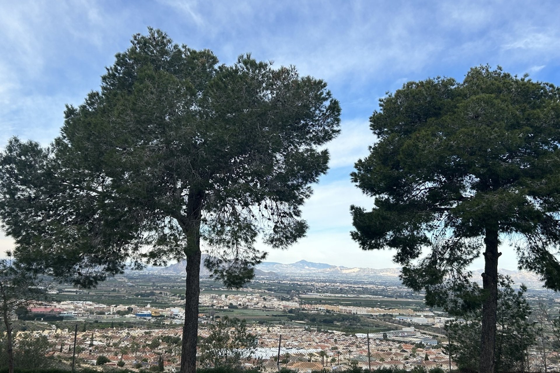 Resale - Apartment / Flat * - Ciudad Quesada *