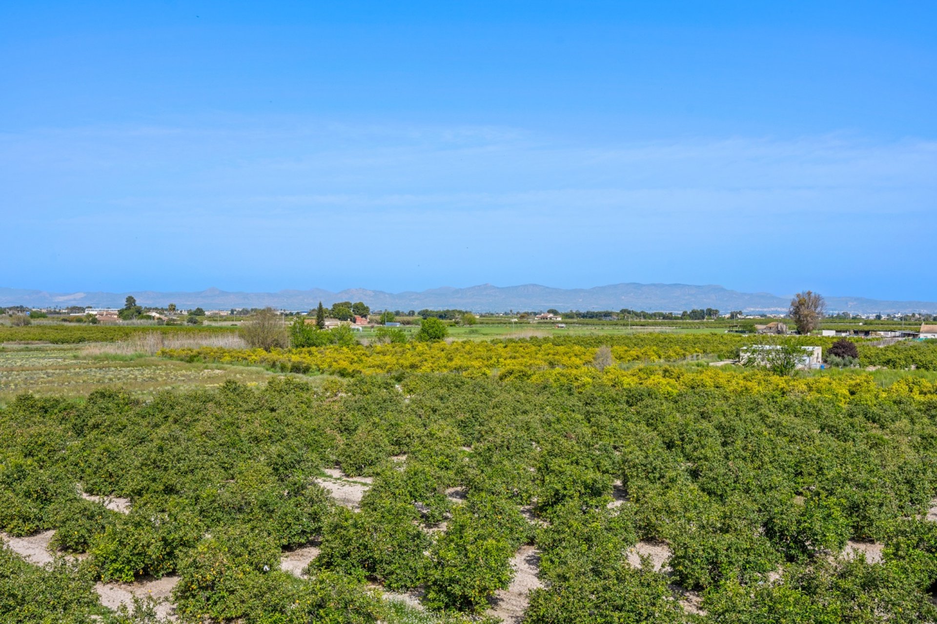 Resale - Apartment / Flat * - Daya Nueva * - Costa Blanca South