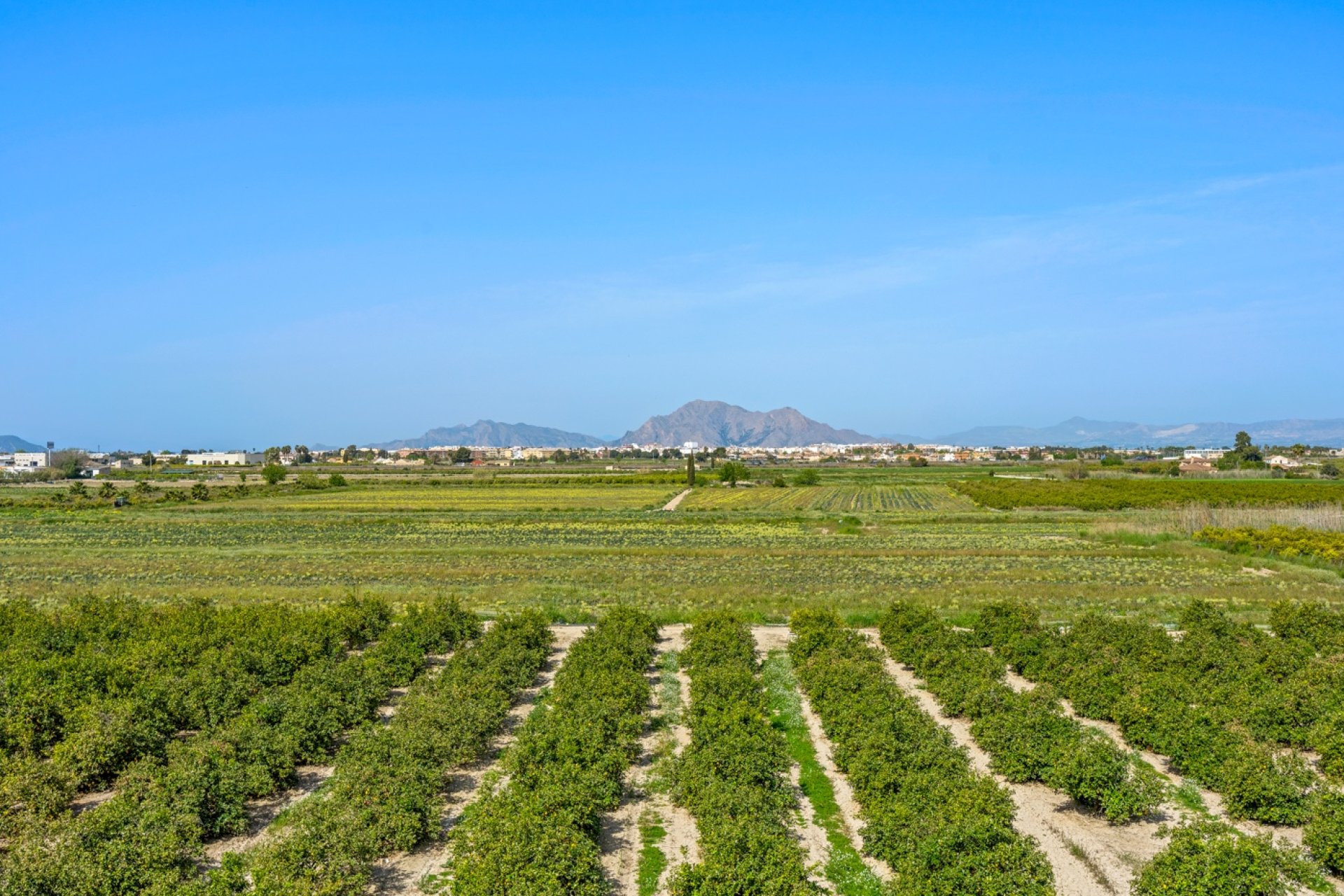 Resale - Apartment / Flat * - Daya Nueva * - Costa Blanca South