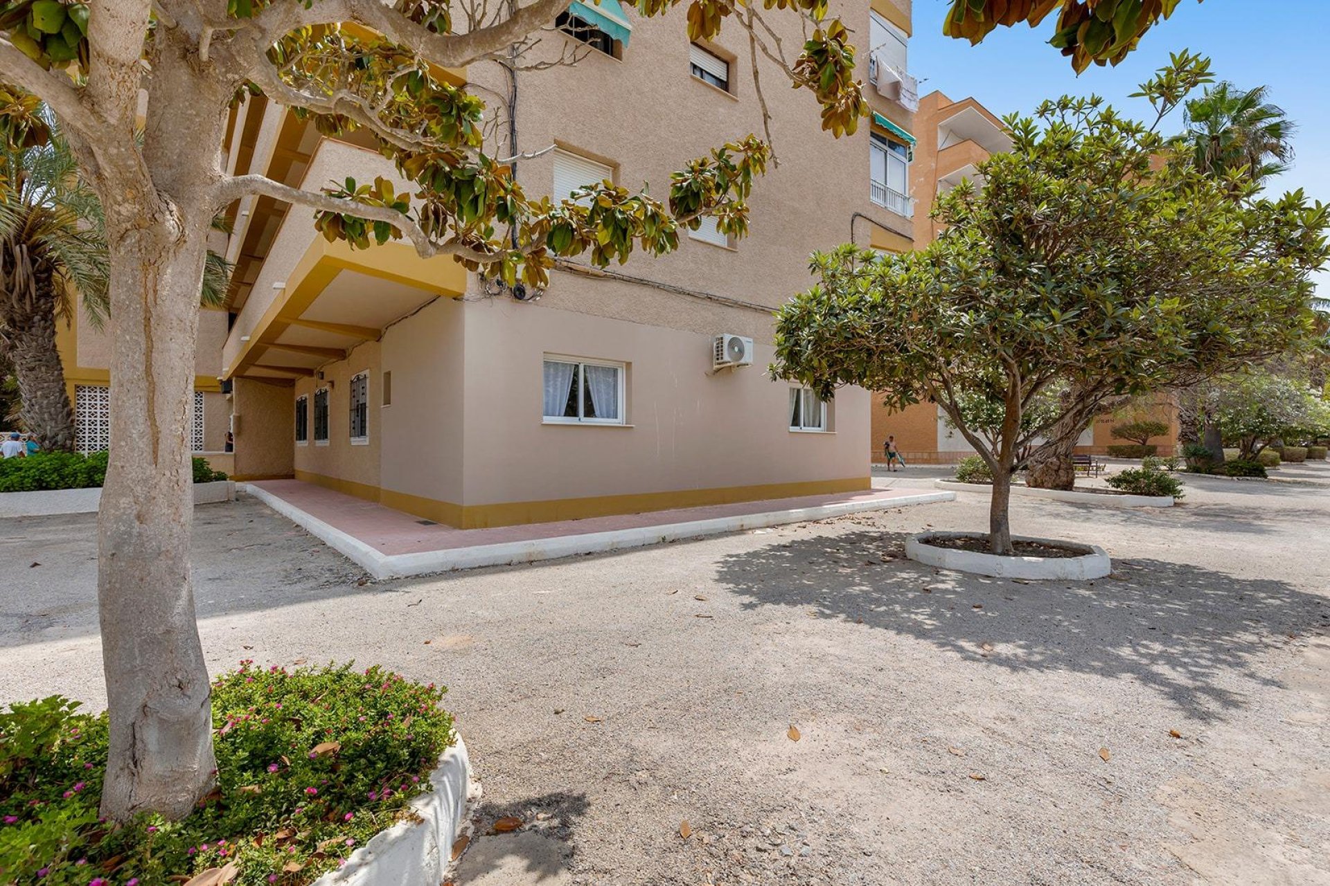 Resale - Apartment / flat - Guardamar del Segura - Pinomar