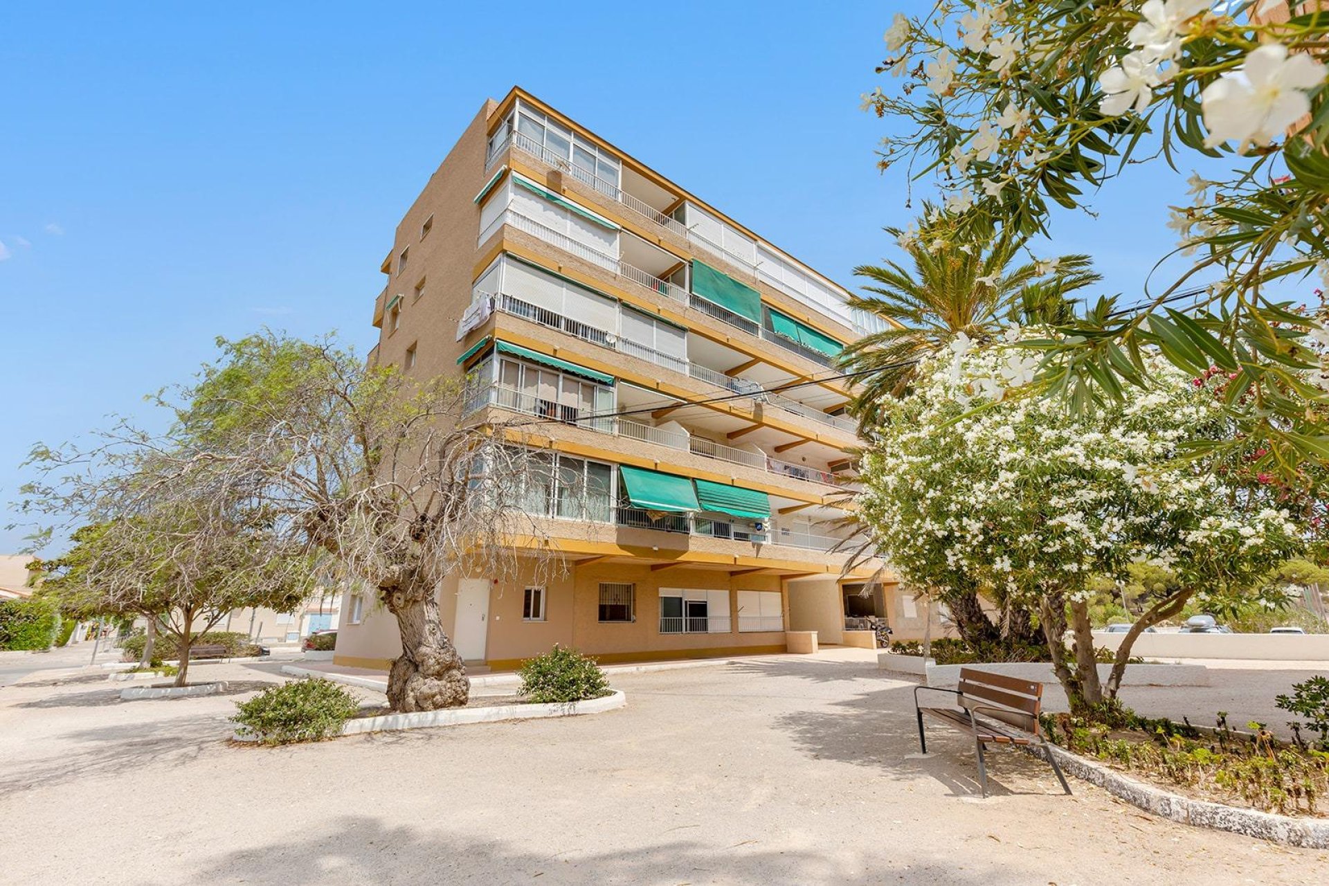 Resale - Apartment / flat - Guardamar del Segura - Pinomar