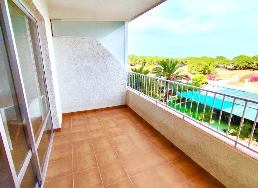 Resale - Apartment / flat - Guardamar del Segura - Pinomar