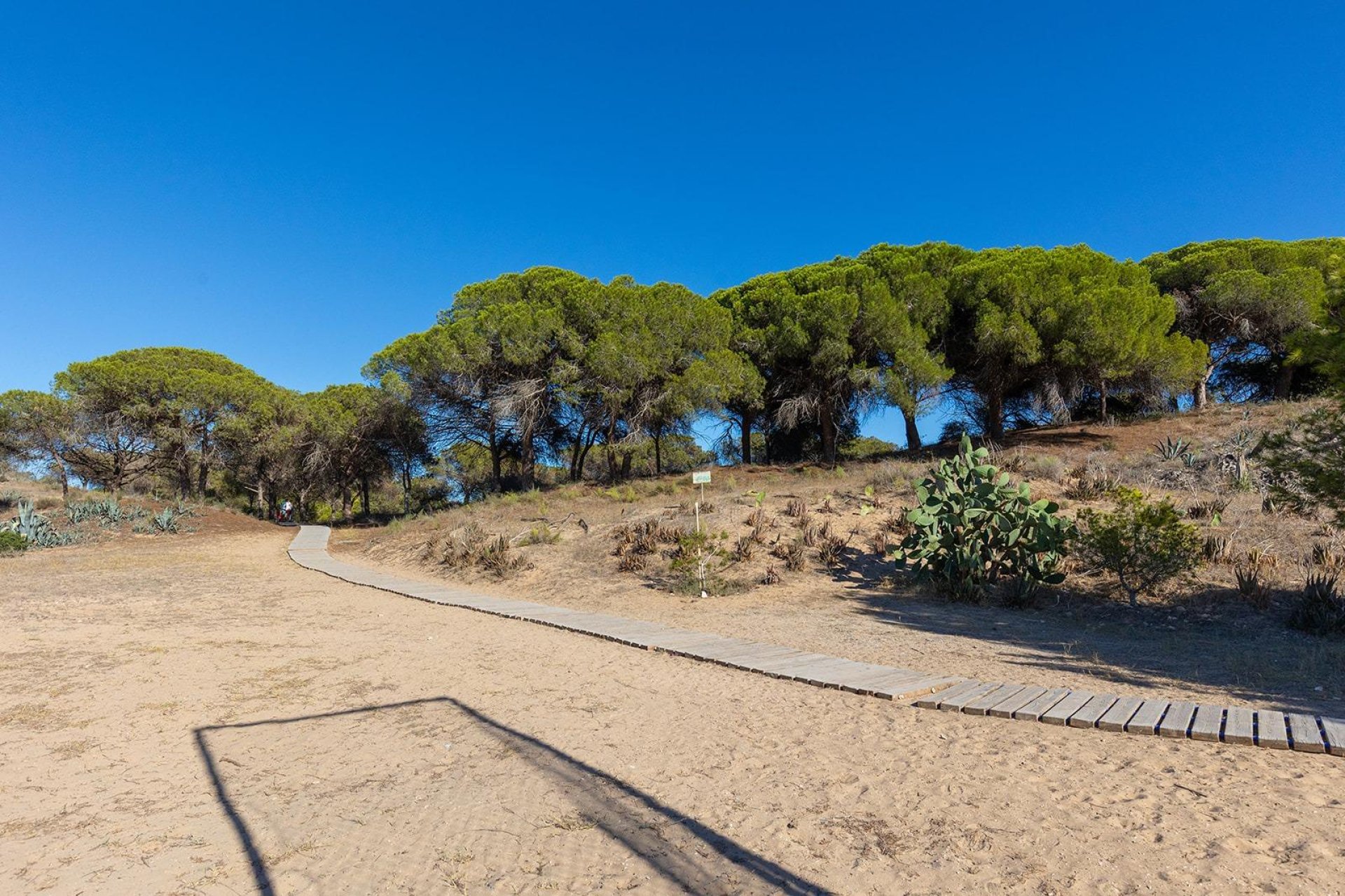 Resale - Apartment / Flat * - Guardamar del Segura - Urb. pinomar