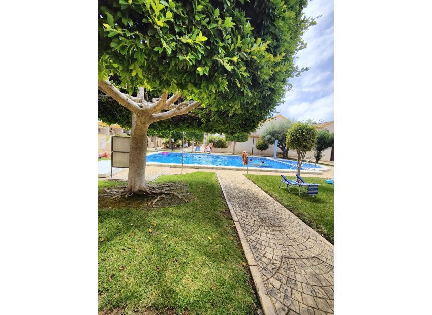 Resale - Apartment / flat - Orihuela Costa - Campoamor