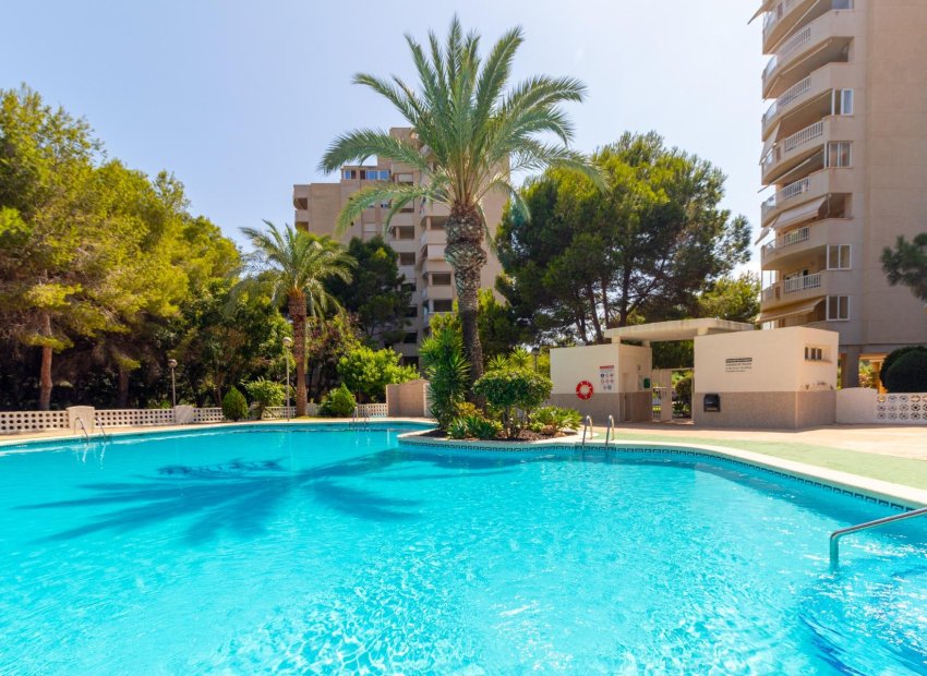 Resale - Apartment / Flat * - Orihuela Costa * - Campoamor *