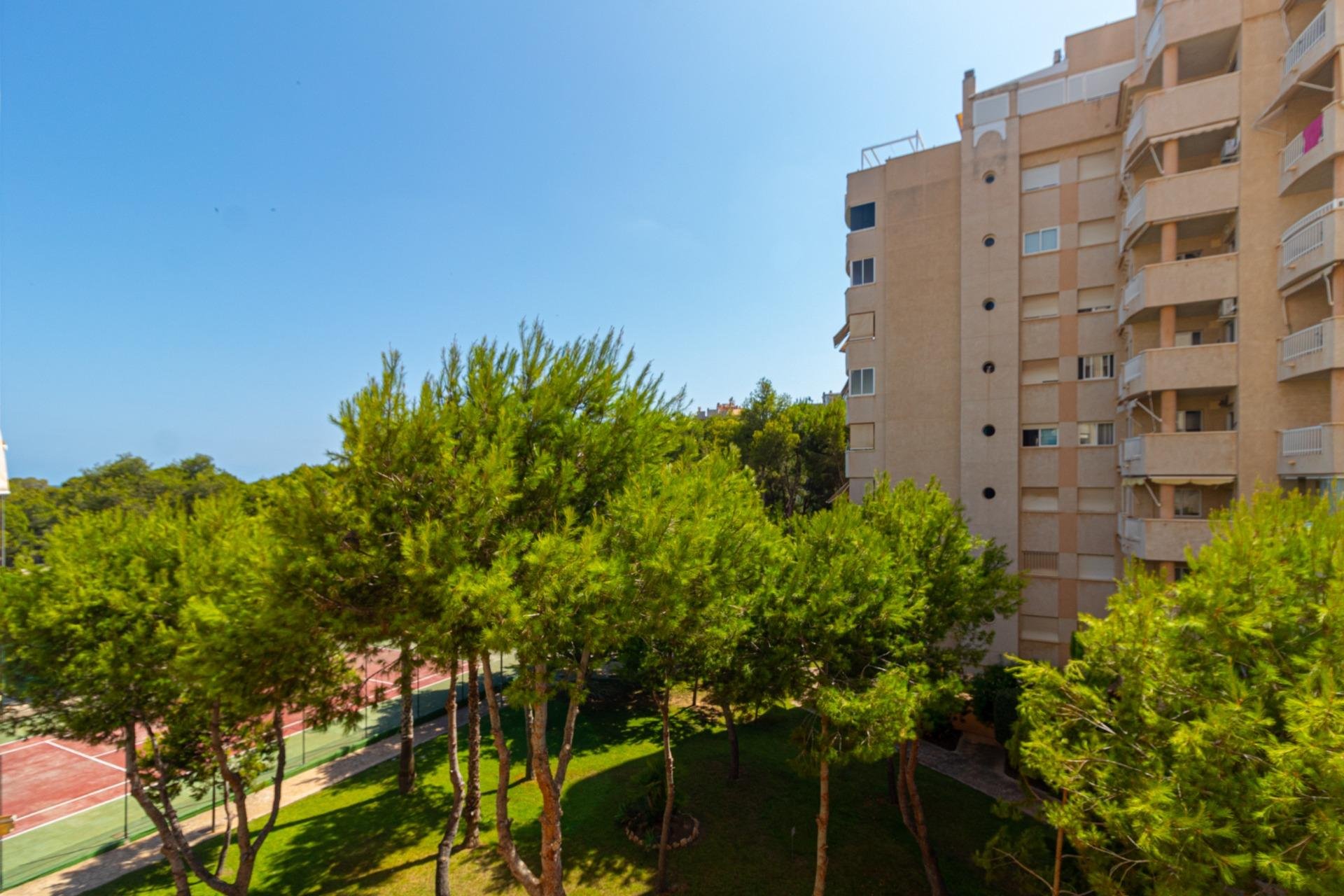 Resale - Apartment / Flat * - Orihuela Costa * - Campoamor *