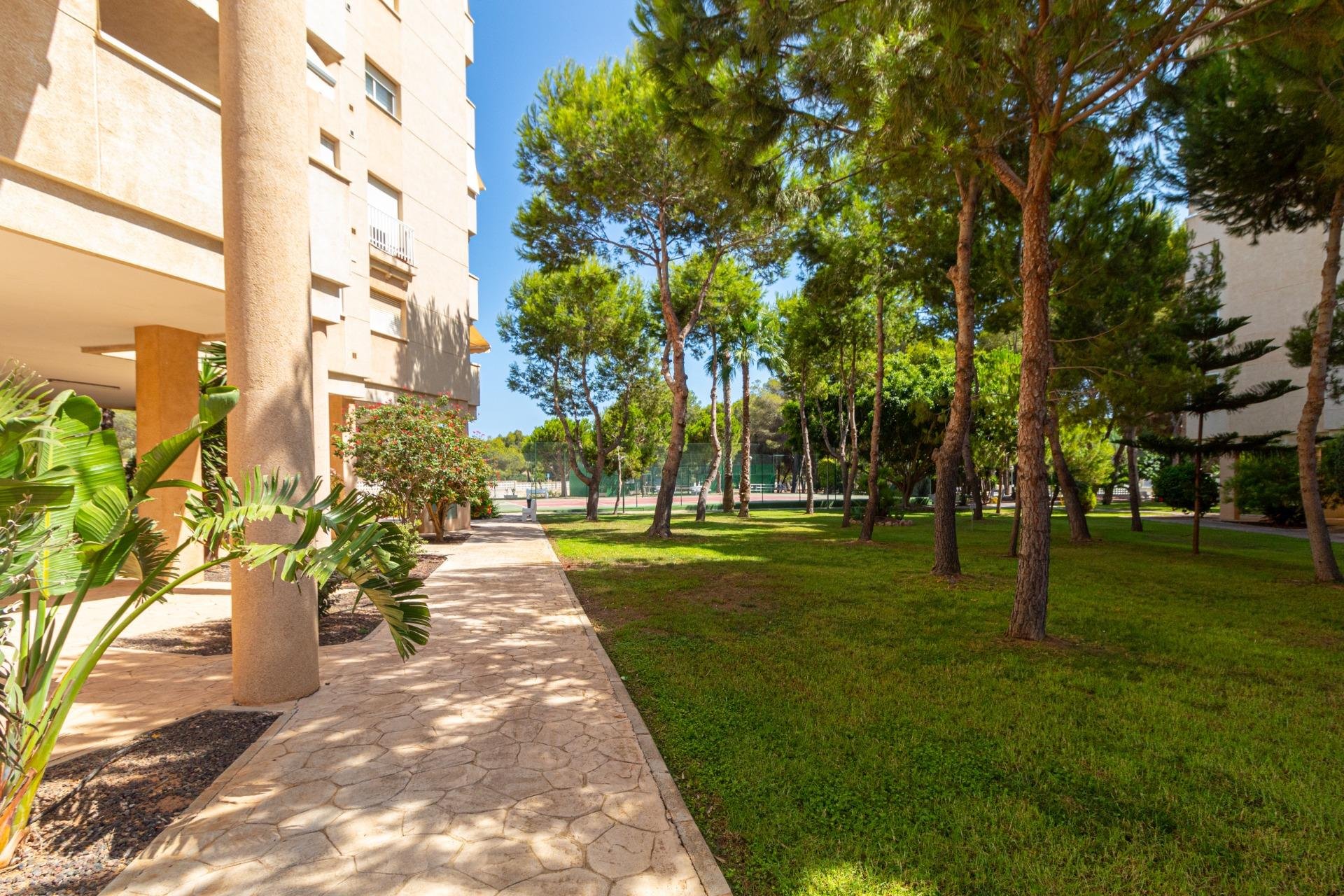Resale - Apartment / Flat * - Orihuela Costa * - Campoamor *