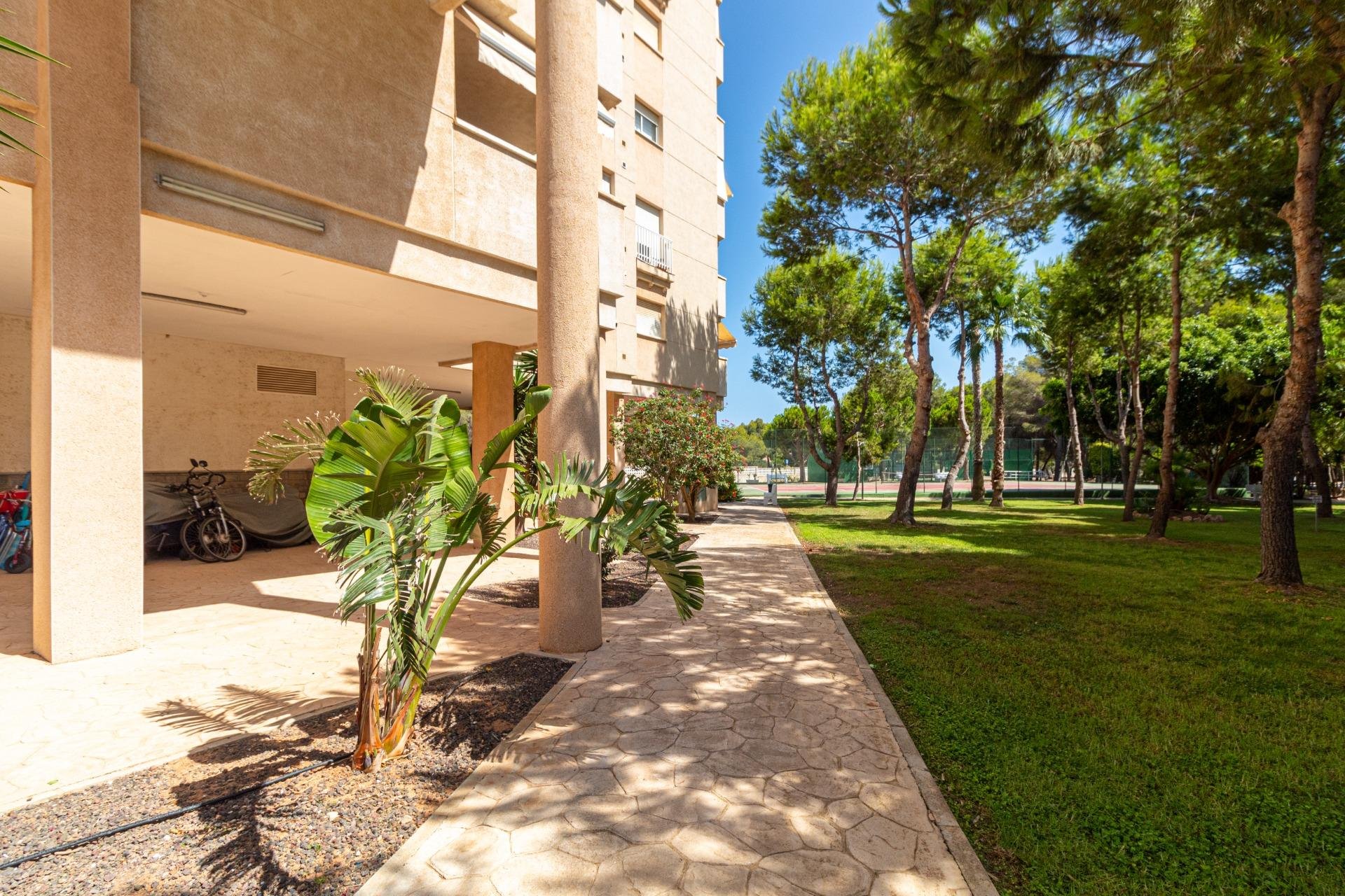 Resale - Apartment / Flat * - Orihuela Costa * - Campoamor *