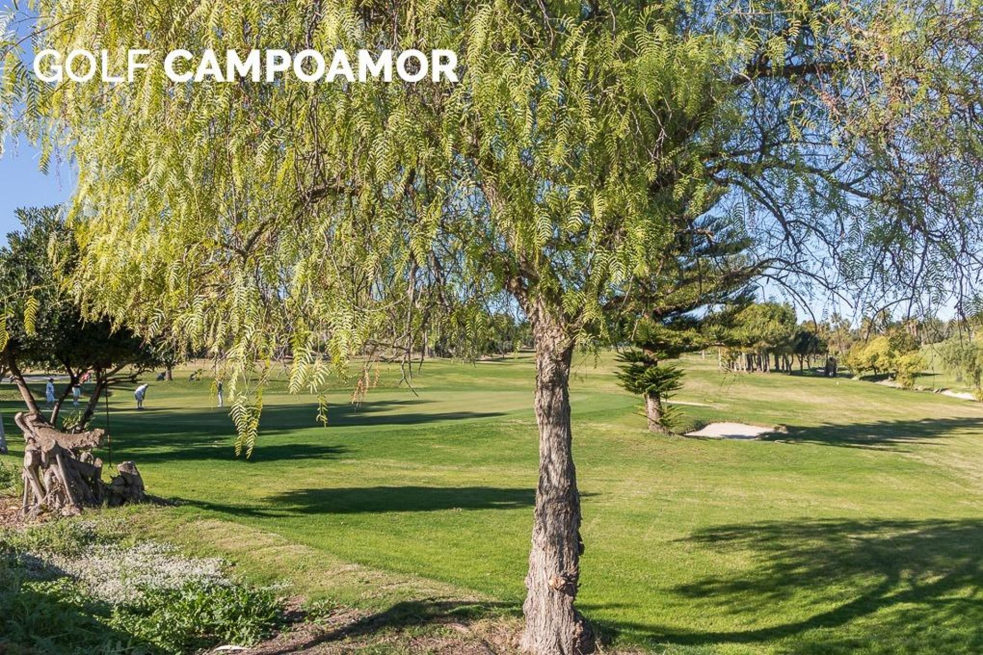 Resale - Apartment / Flat * - Orihuela Costa * - Campoamor *