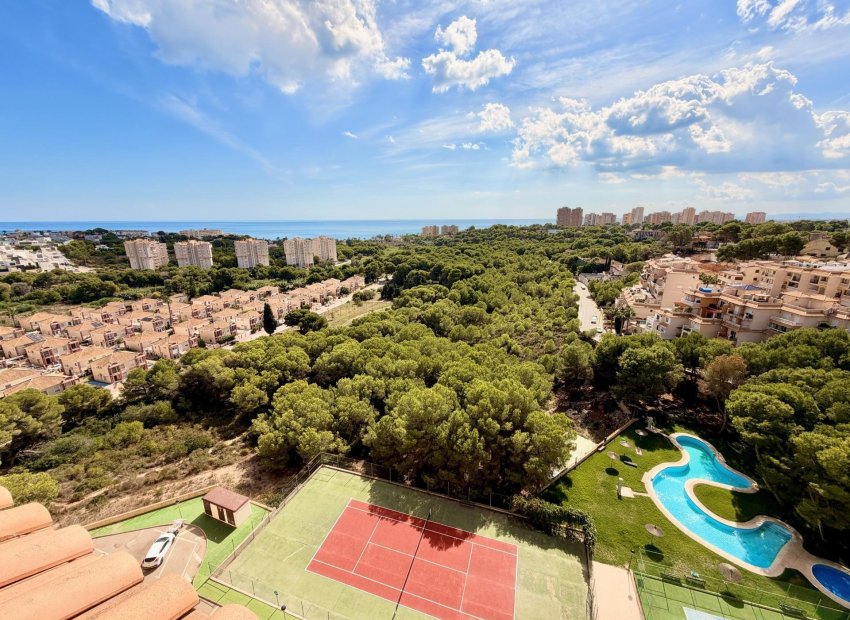 Resale - Apartment / Flat * - Orihuela Costa * - Campoamor *