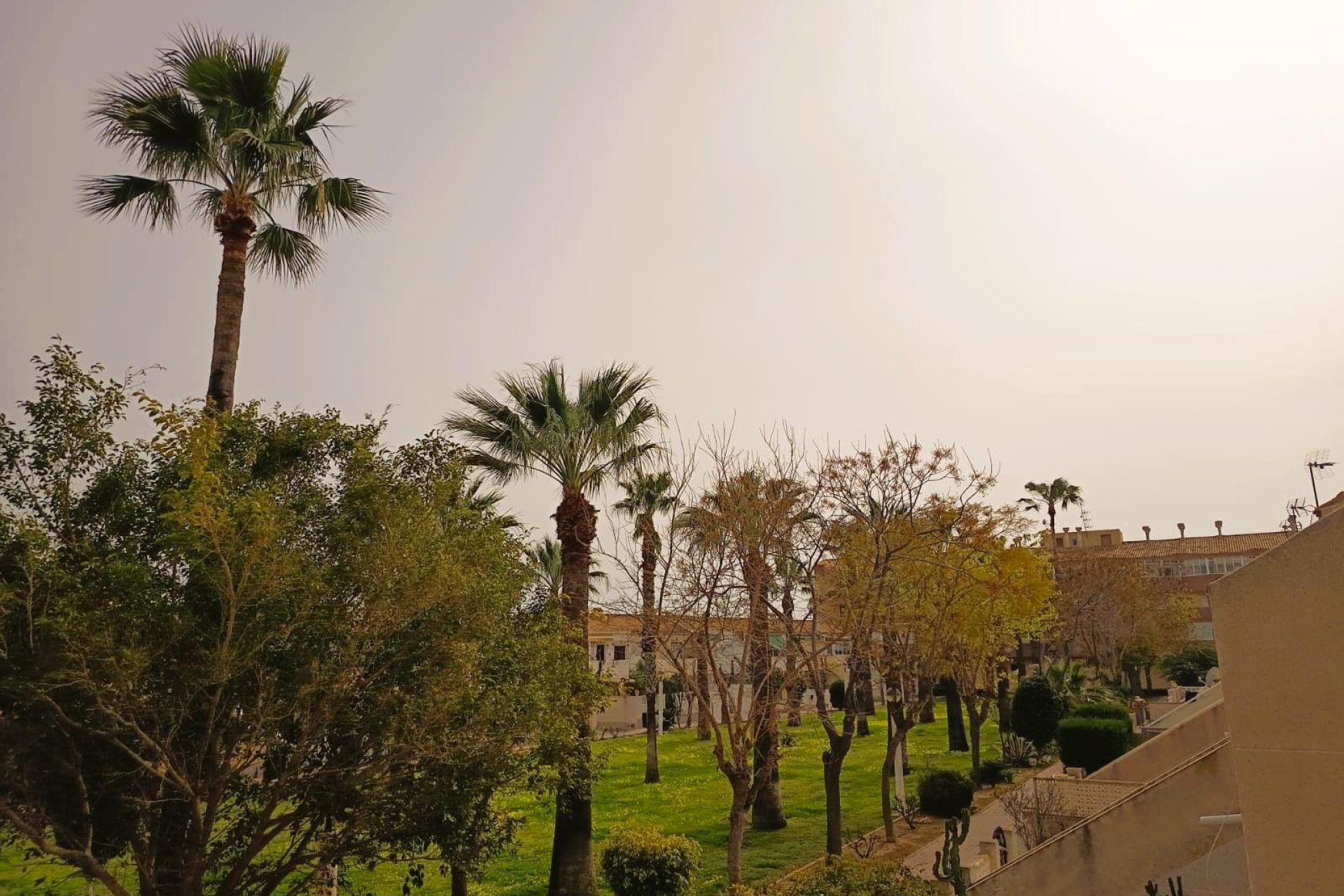 Resale - Apartment / Flat * - Orihuela Costa * - La Regia *