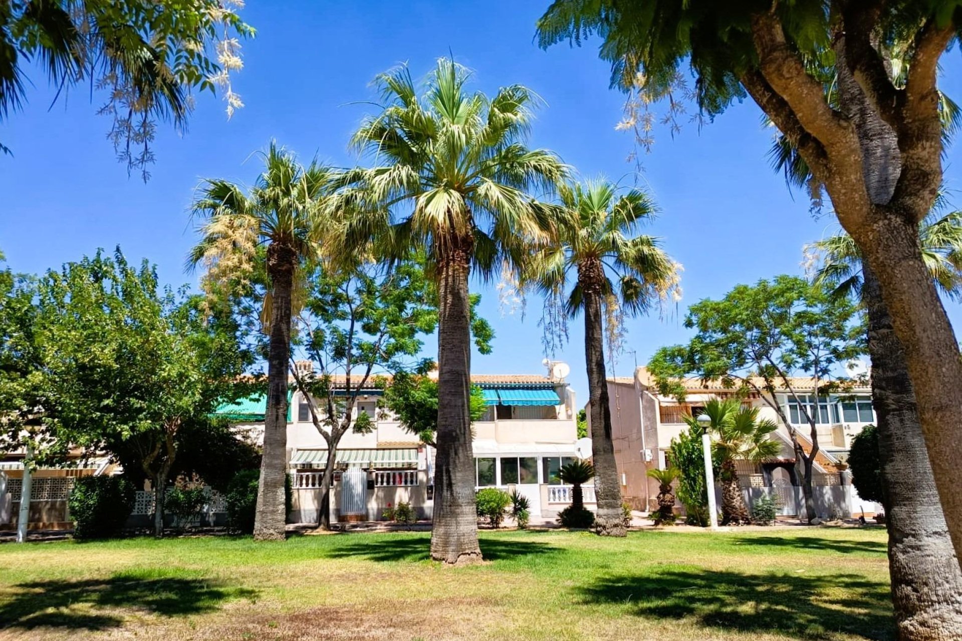 Resale - Apartment / Flat * - Orihuela Costa * - La Regia *