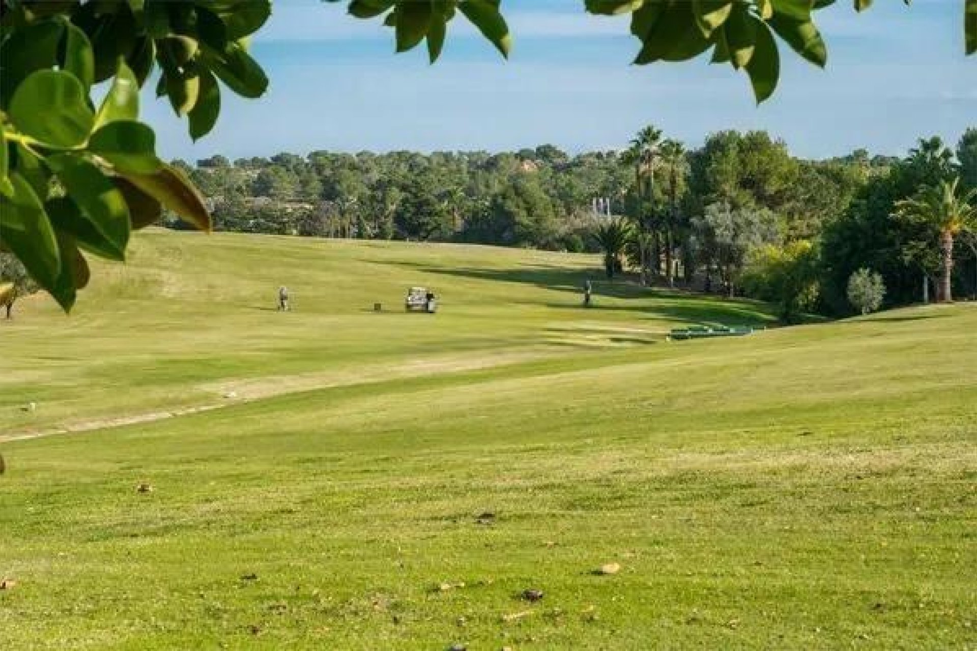 Resale - Apartment / Flat * - Orihuela Costa * - Las Filipinas *