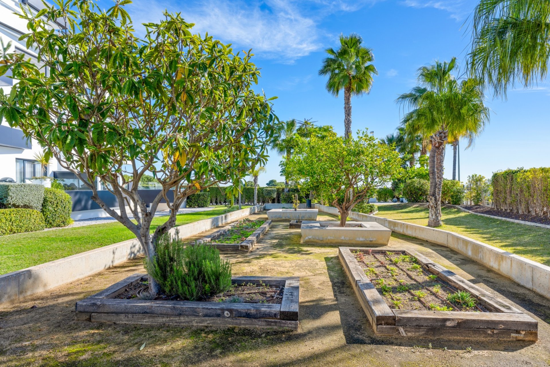 Resale - Apartment / Flat * - Orihuela Costa * - Los Dolses*