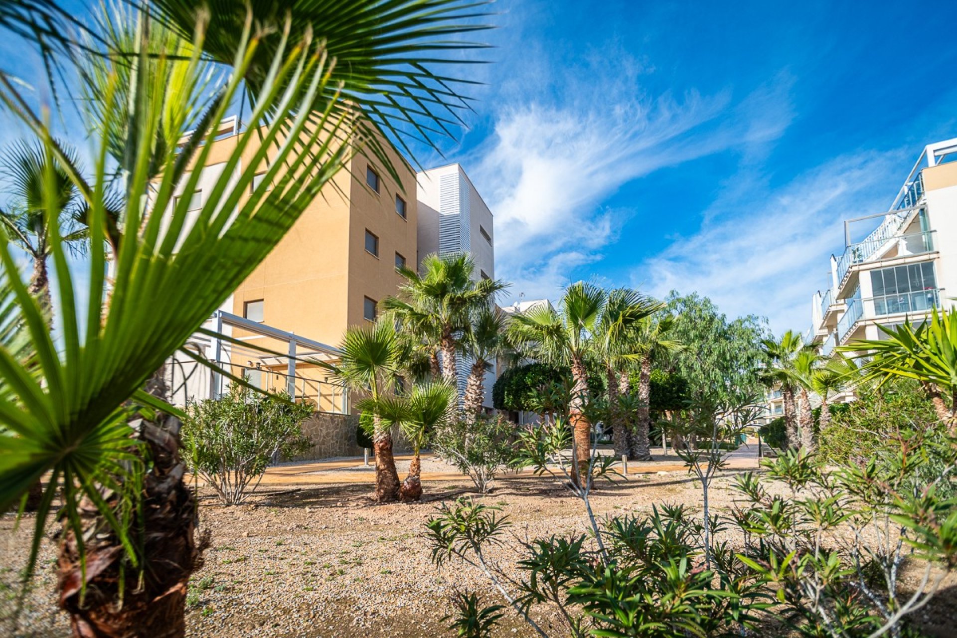 Resale - Apartment / Flat * - Orihuela Costa * - Los Dolses *