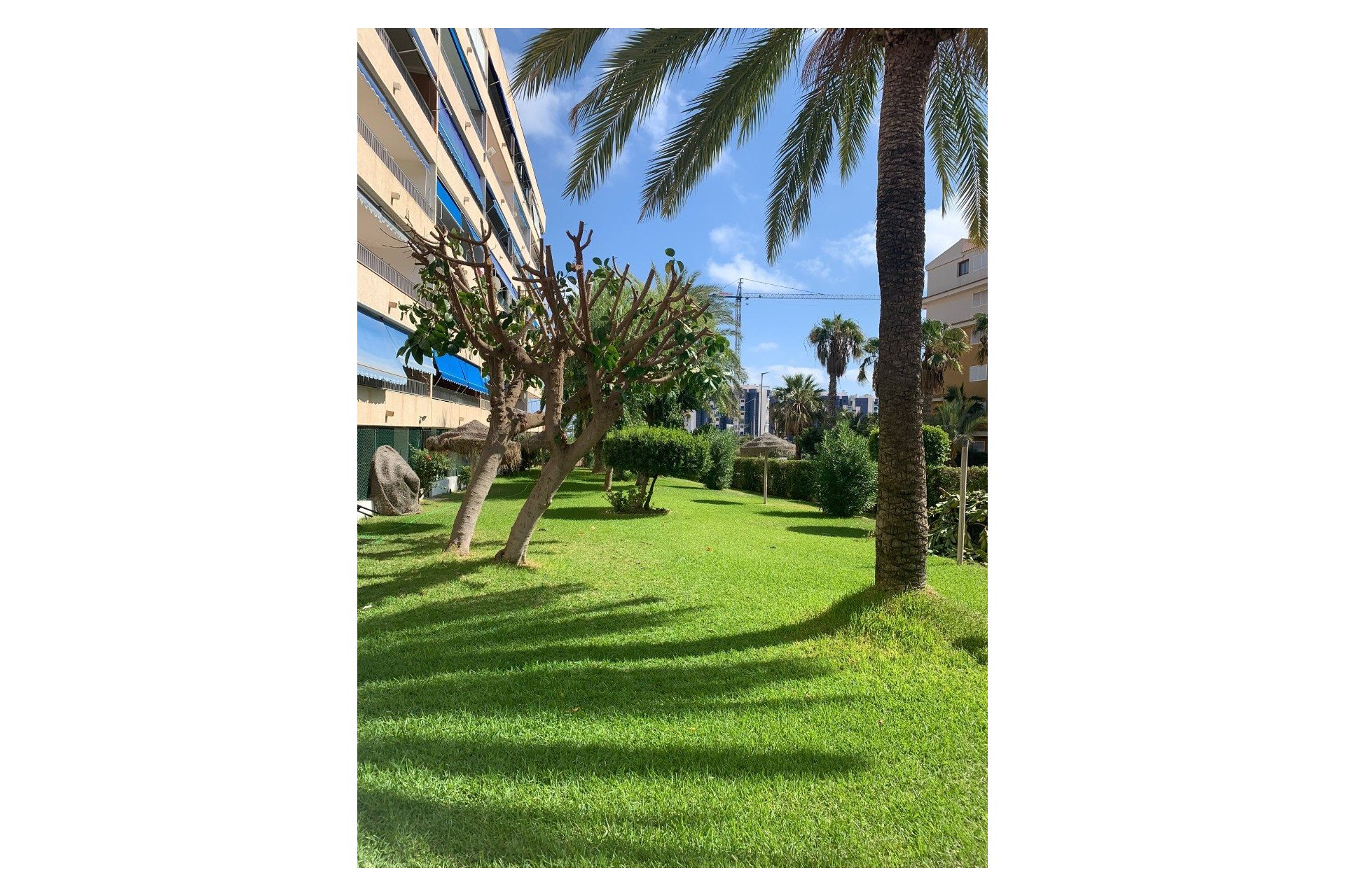 Resale - Apartment / flat - Orihuela Costa - Punta Prima