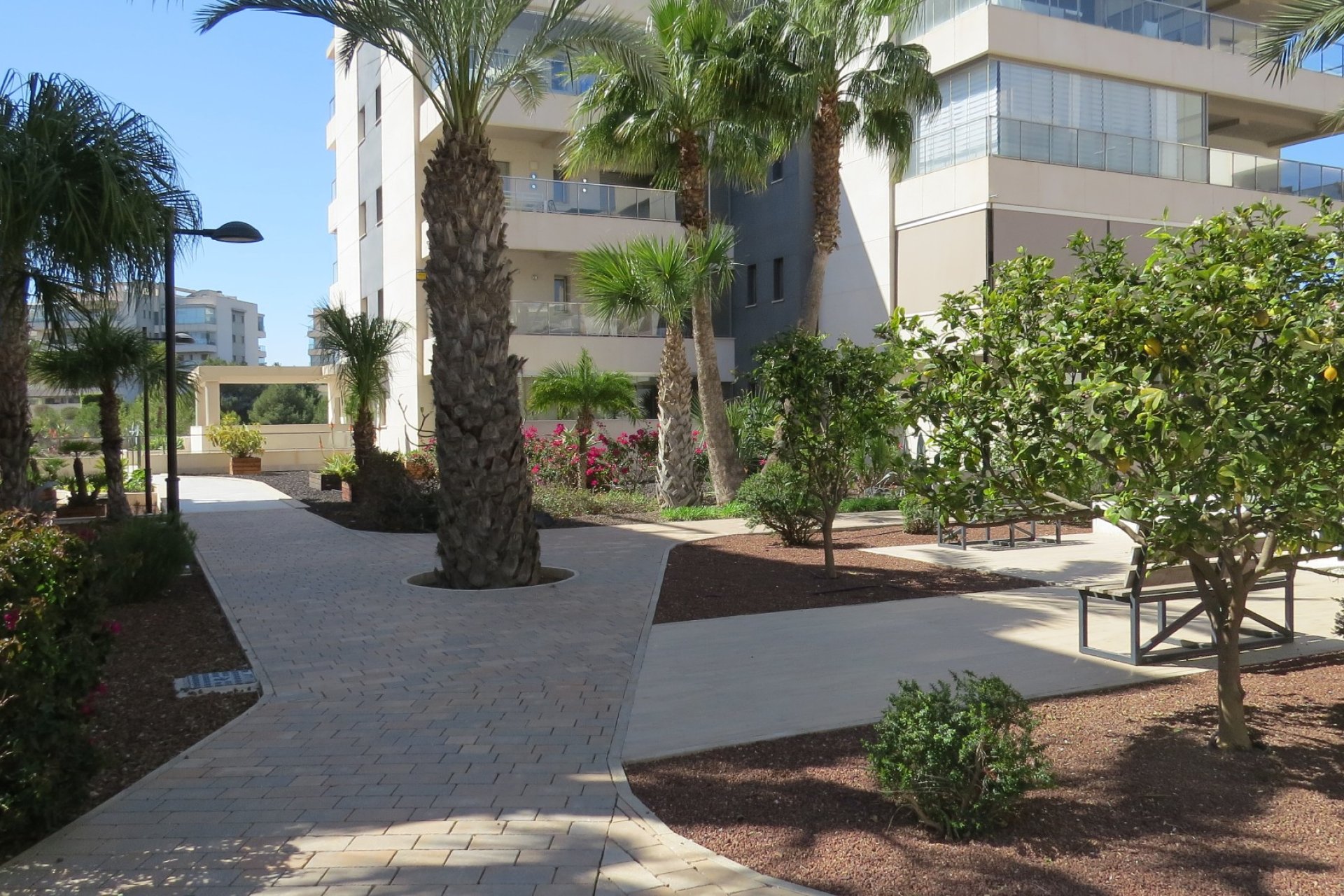 Resale - Apartment / flat - Orihuela Costa - Villamartín