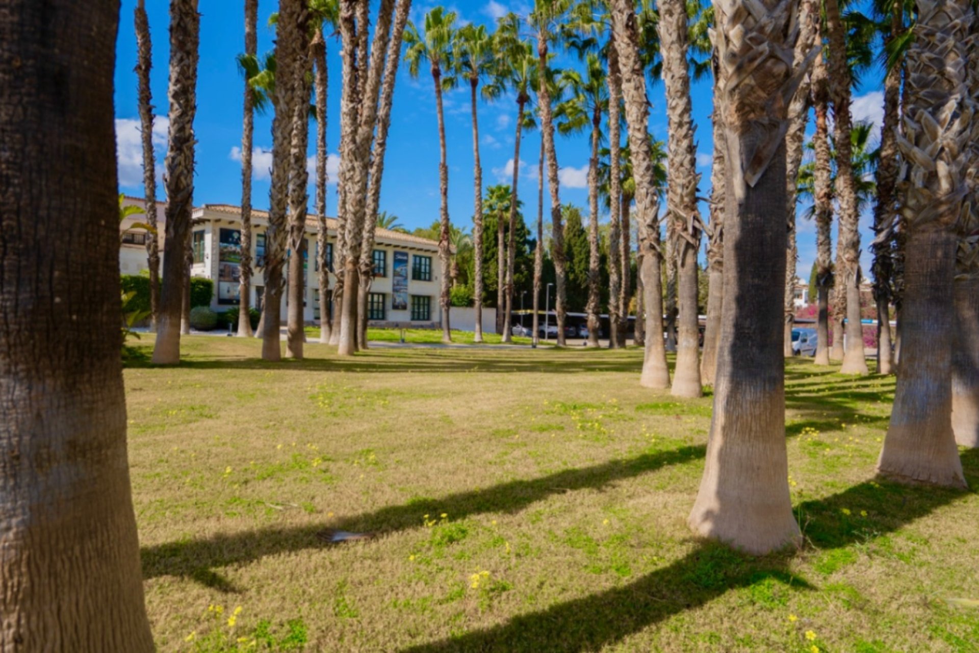 Resale - Apartment / Flat * - Orihuela *