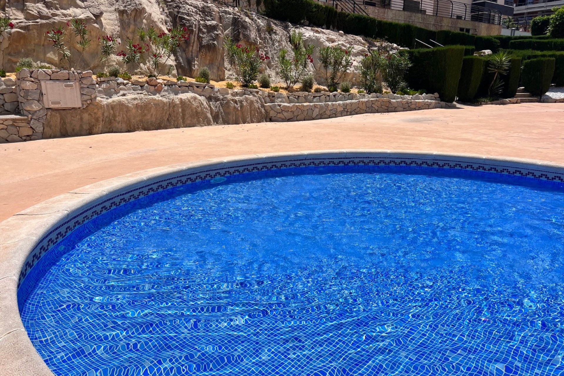 Resale - Apartment / Flat * - San Miguel de Salinas - San Miguel Salinas