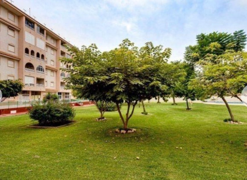 Resale - Apartment / flat - Torrevieja - Center