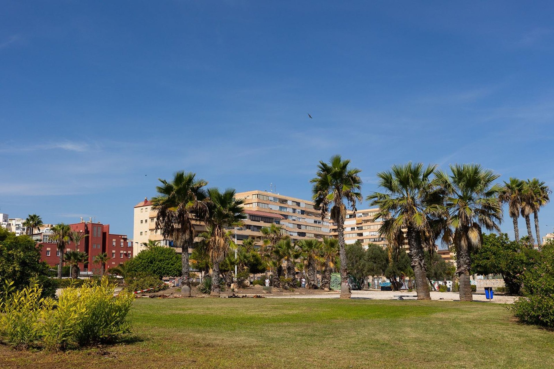 Resale - Apartment / Flat * - Torrevieja - La Mata *