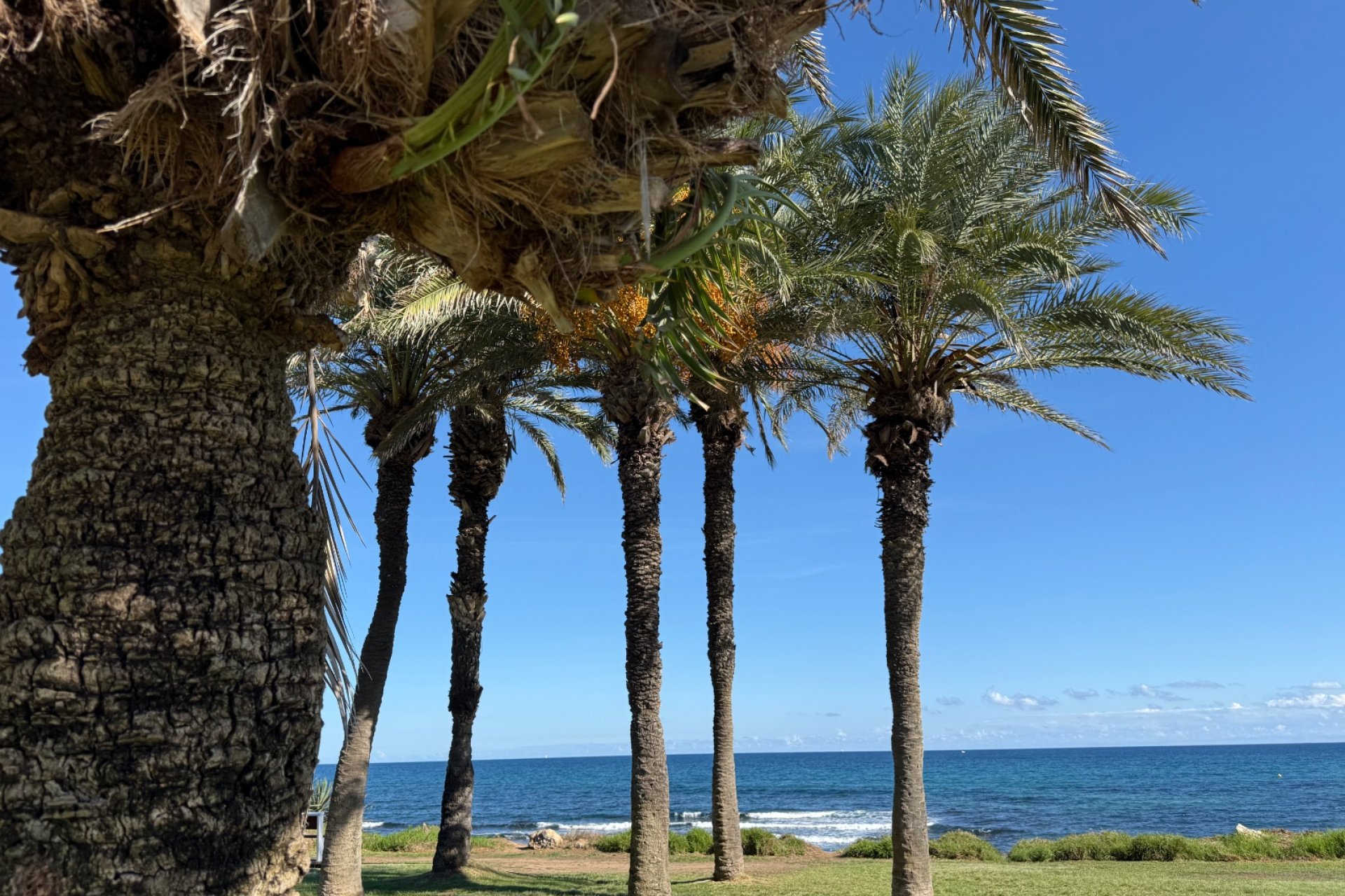 Resale - Apartment / Flat * - Torrevieja * - La Veleta *
