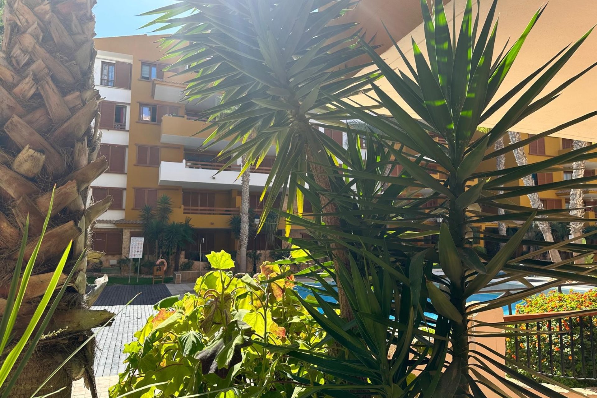 Resale - Apartment / flat - Torrevieja - Punta Prima