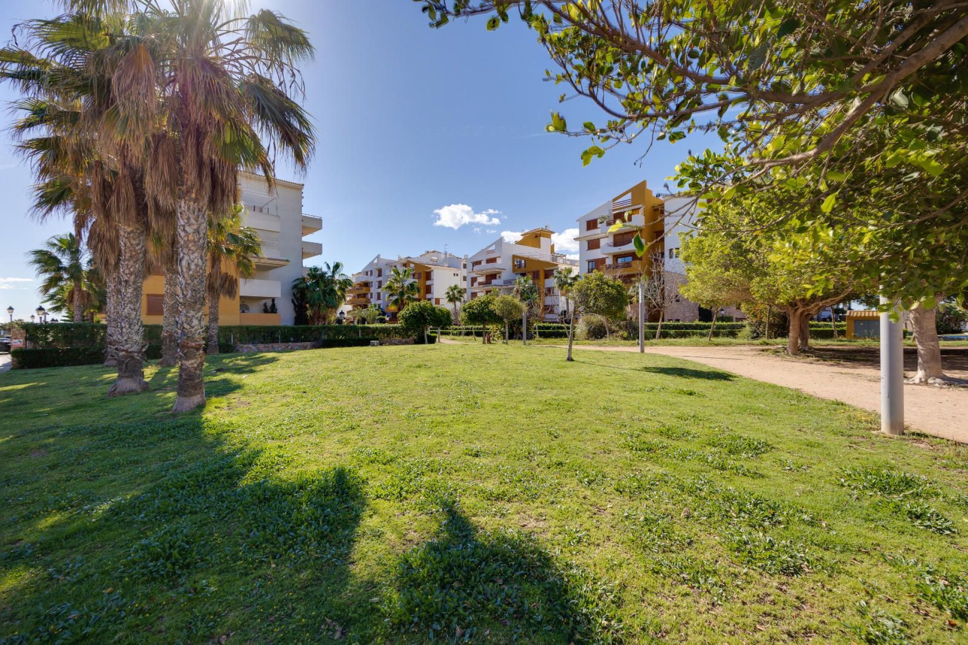 Resale - Apartment / Flat * - Torrevieja * - Punta Prima *