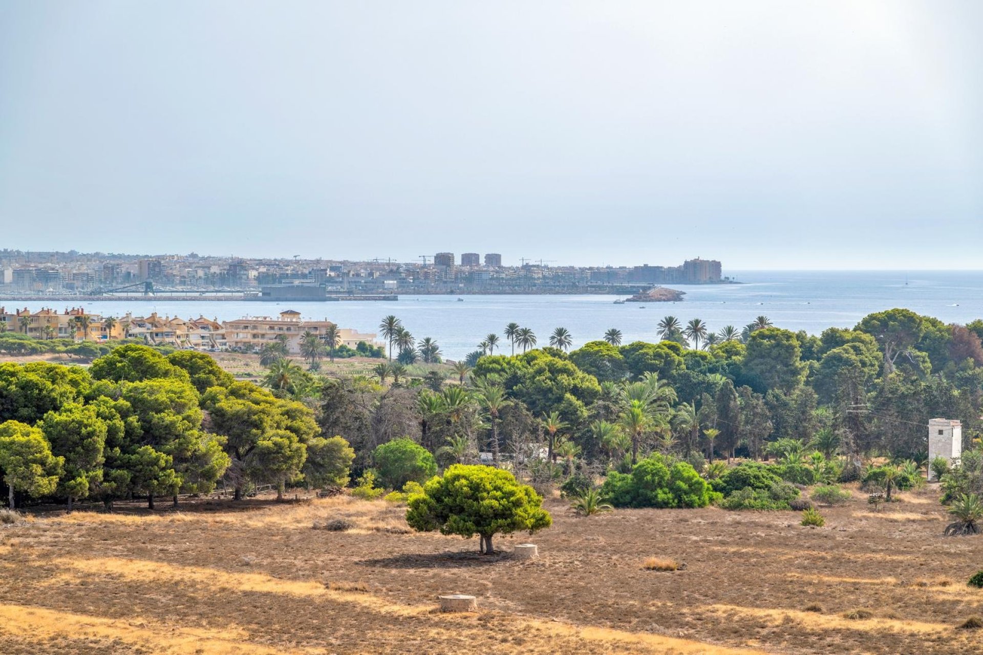 Resale - Apartment / Flat * - Torrevieja * - Punta Prima *