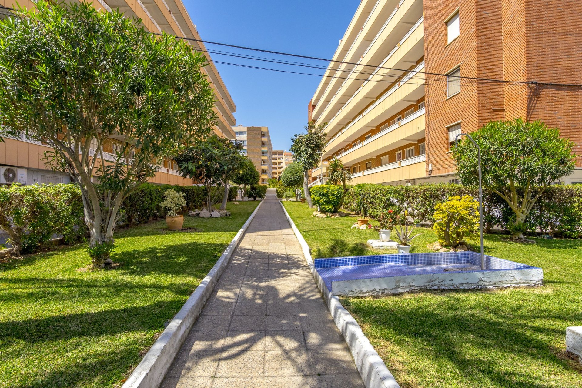 Resale - Apartment / flat - Torrevieja - Punta Prima