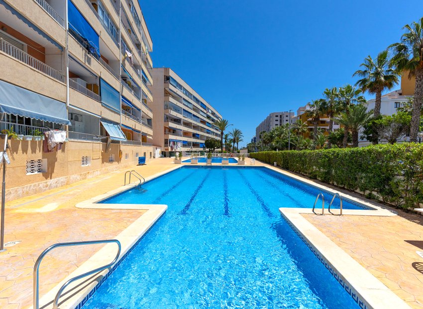 Resale - Apartment / Flat * - Torrevieja - Rocio del Mar