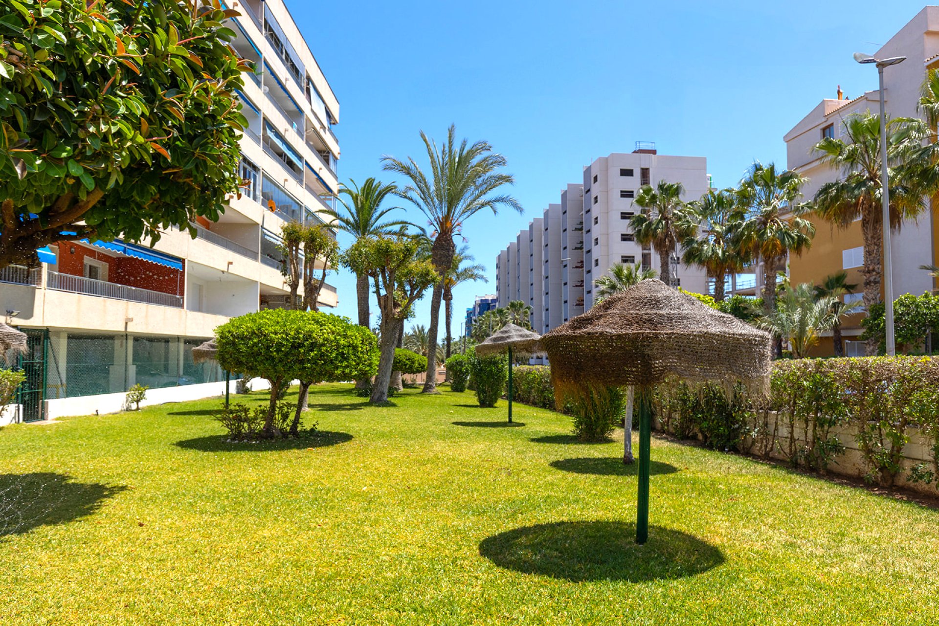 Resale - Apartment / Flat * - Torrevieja - Rocio del Mar
