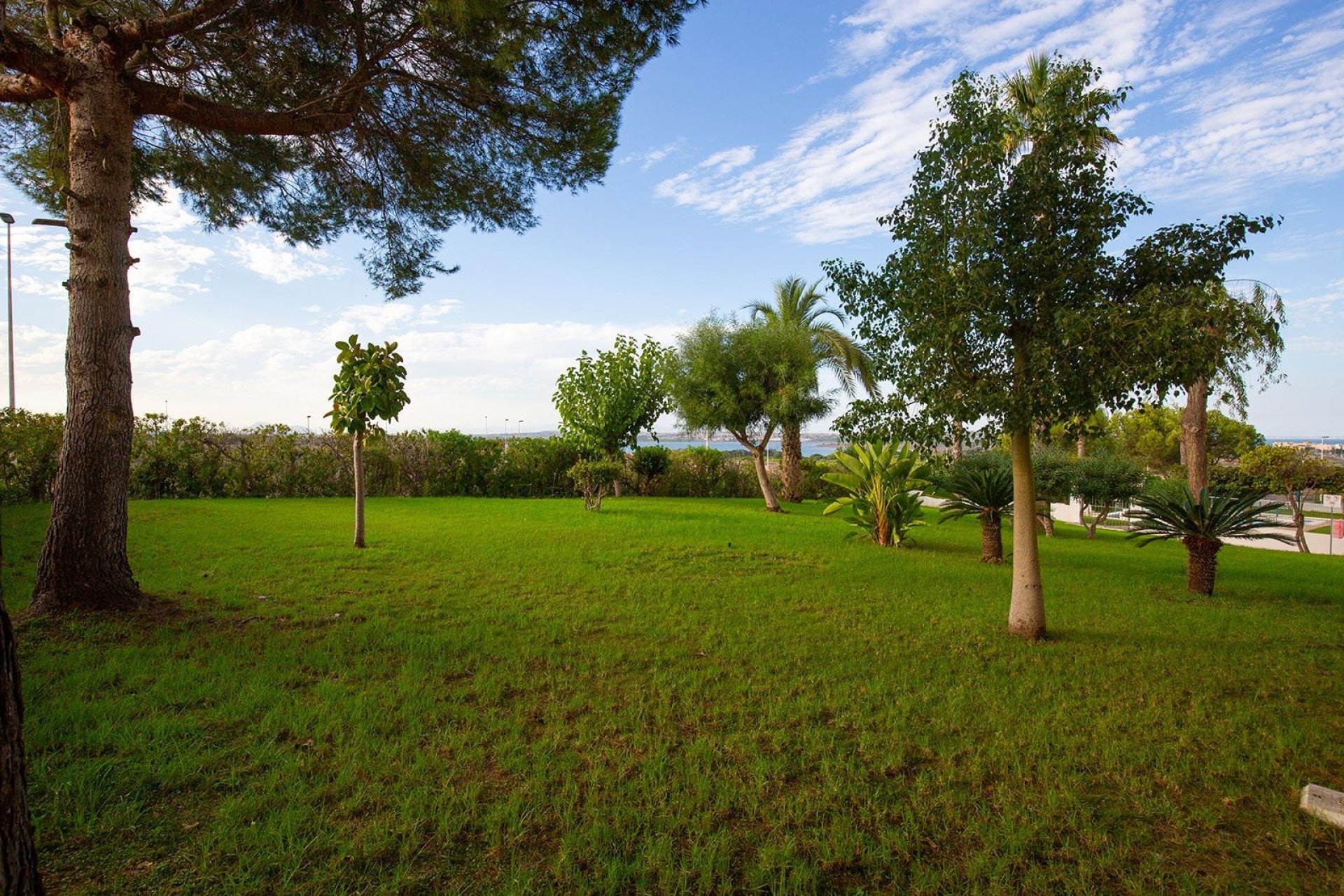 Resale - Apartment / Flat * - Torrevieja - Torreblanca