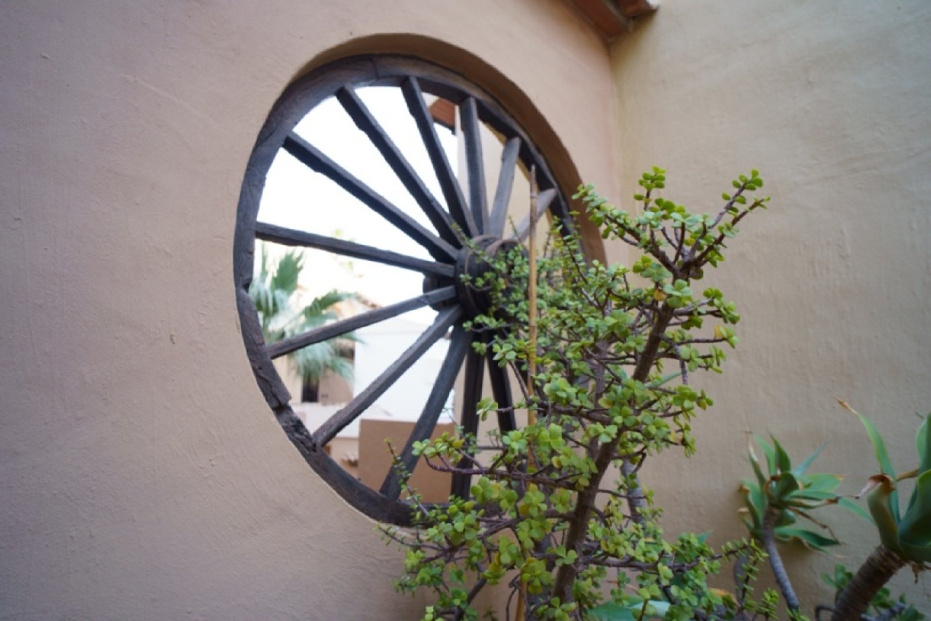 Resale - Apartment / Flat * - Torrevieja *