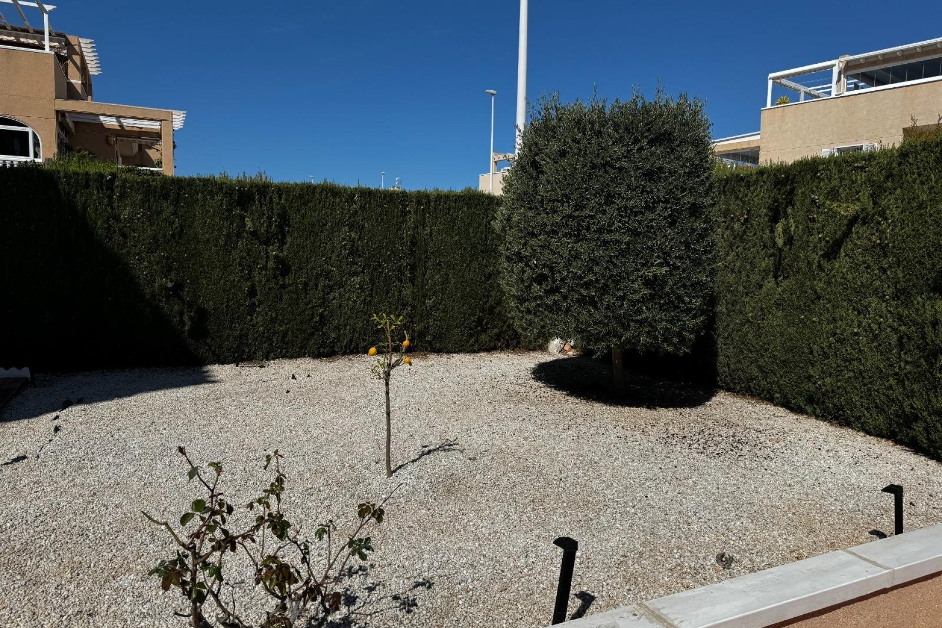 Resale - Bungalow - Orihuela Costa - Playa Flamenca Norte