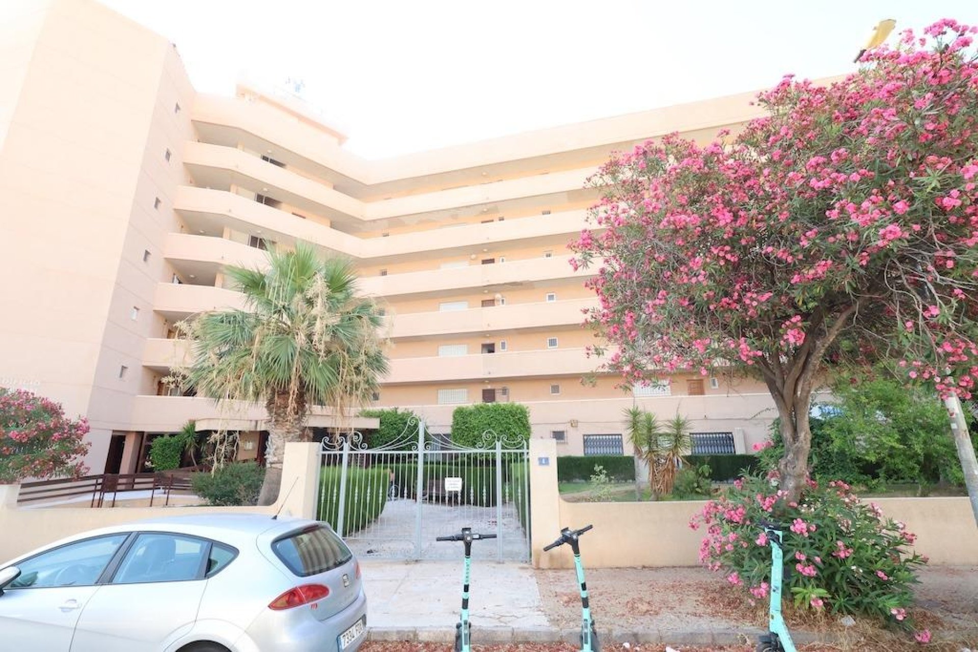 Resale - Commercial * - Orihuela Costa - La Zenia *