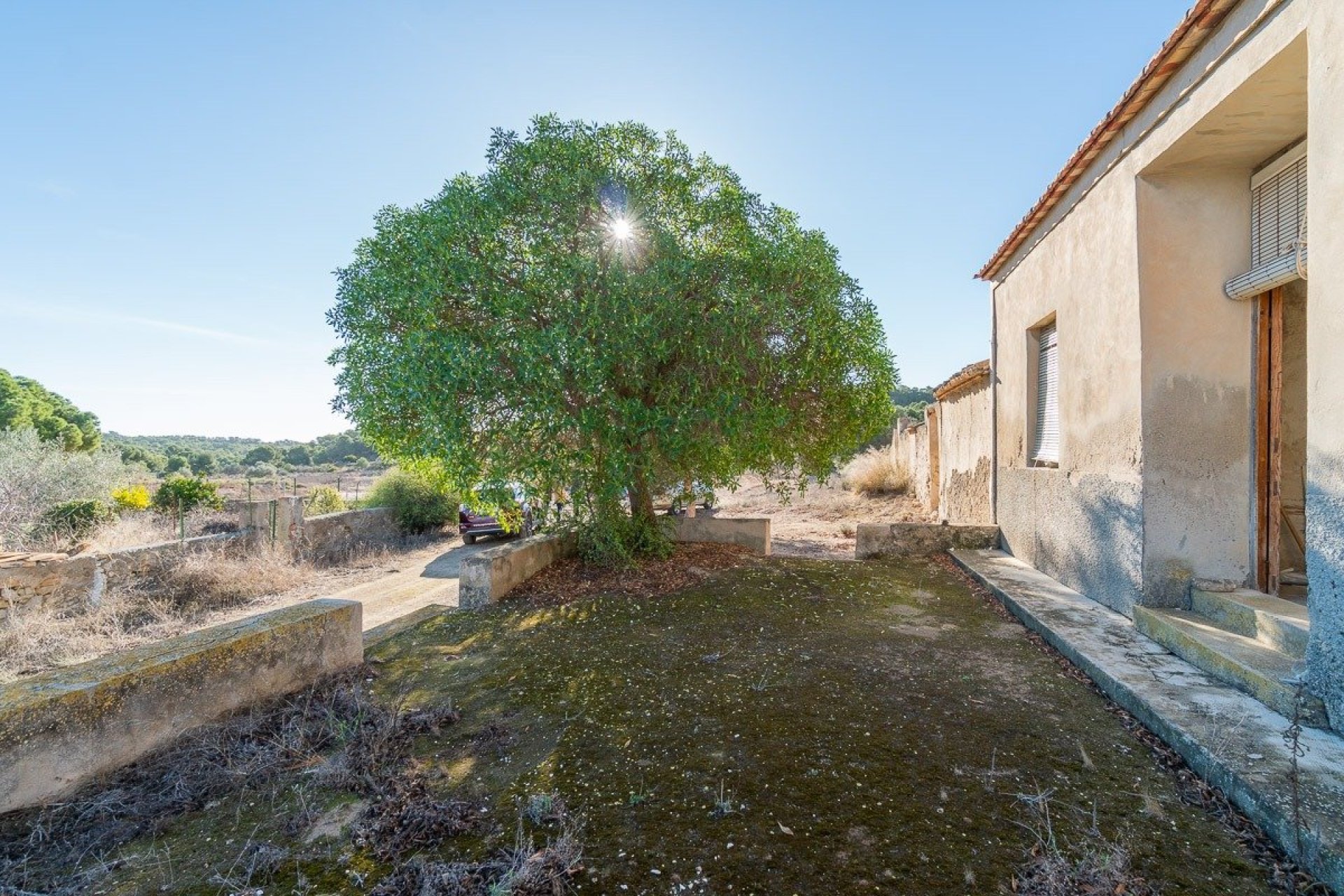 Resale - Country Property - Pilar de la Horadada - Pinar de la Perdiz