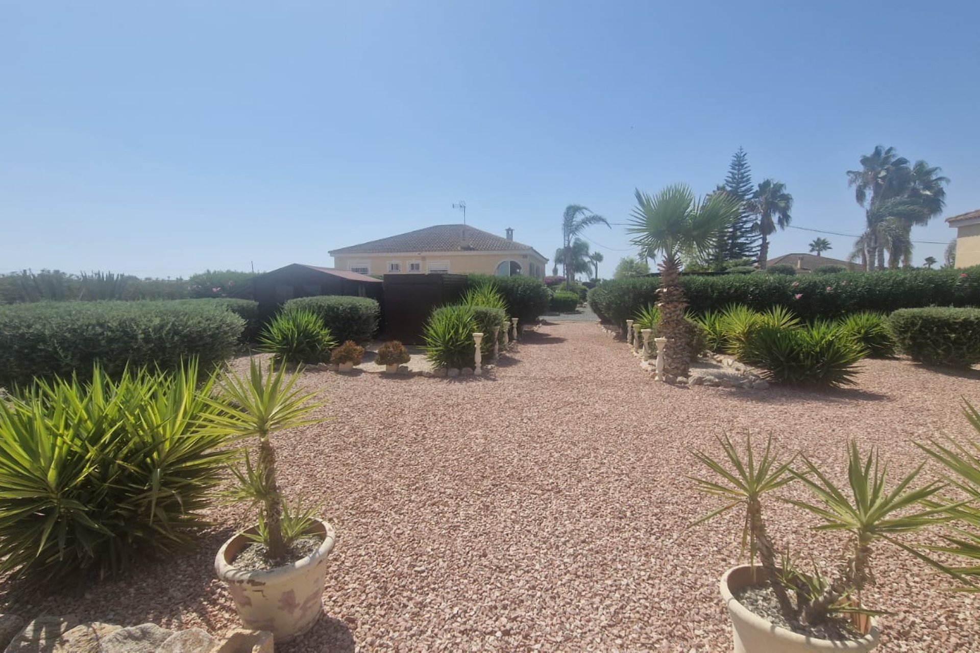 Resale - Finca / Country Property *  - Catral *