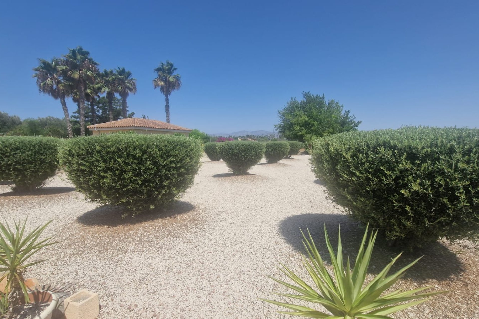 Resale - Finca / Country Property *  - Catral *