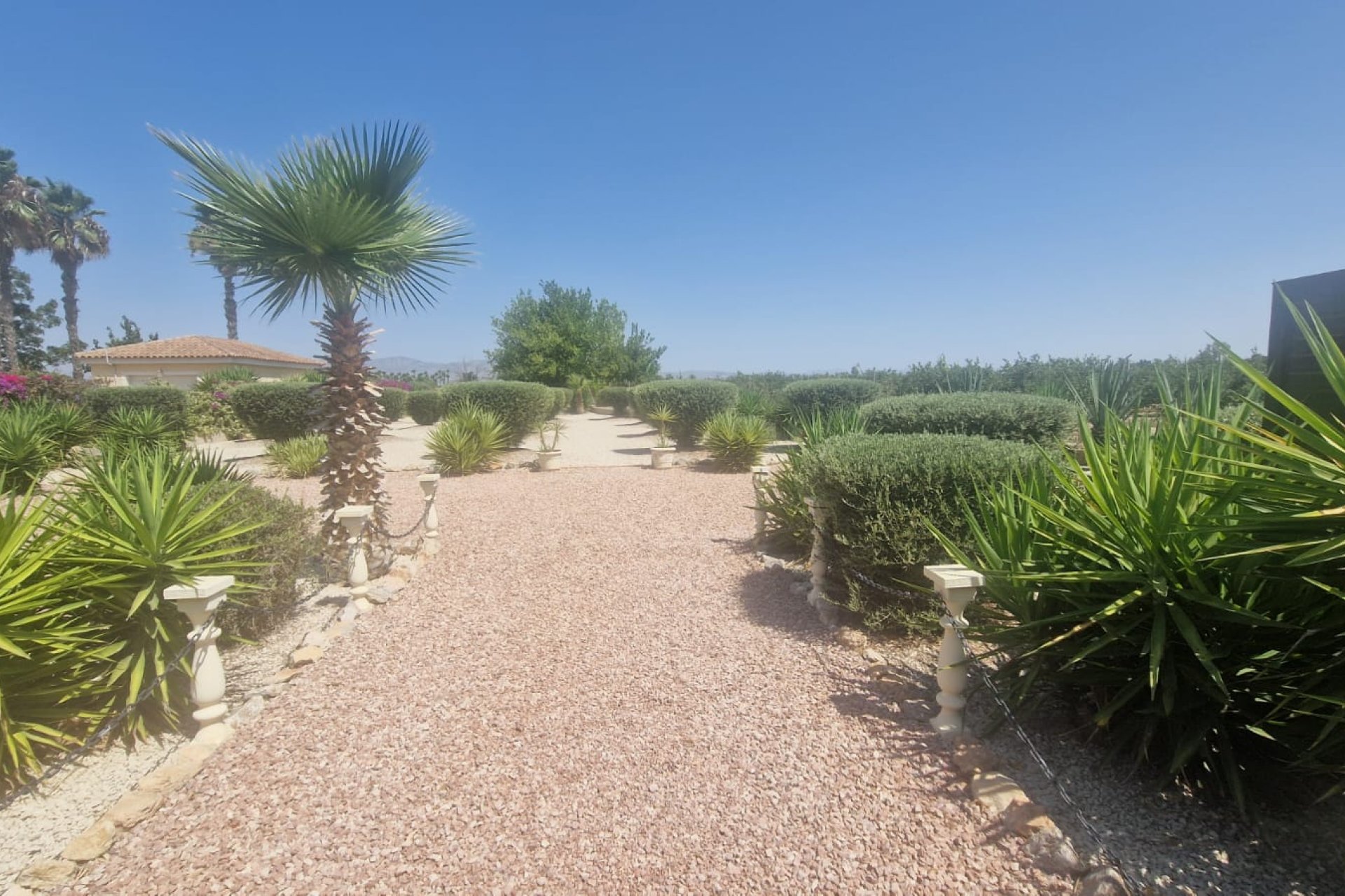 Resale - Finca / Country Property *  - Catral *