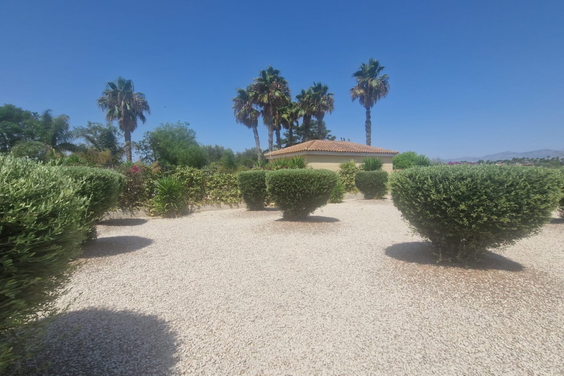 Resale - Finca / Country Property *  - Catral *