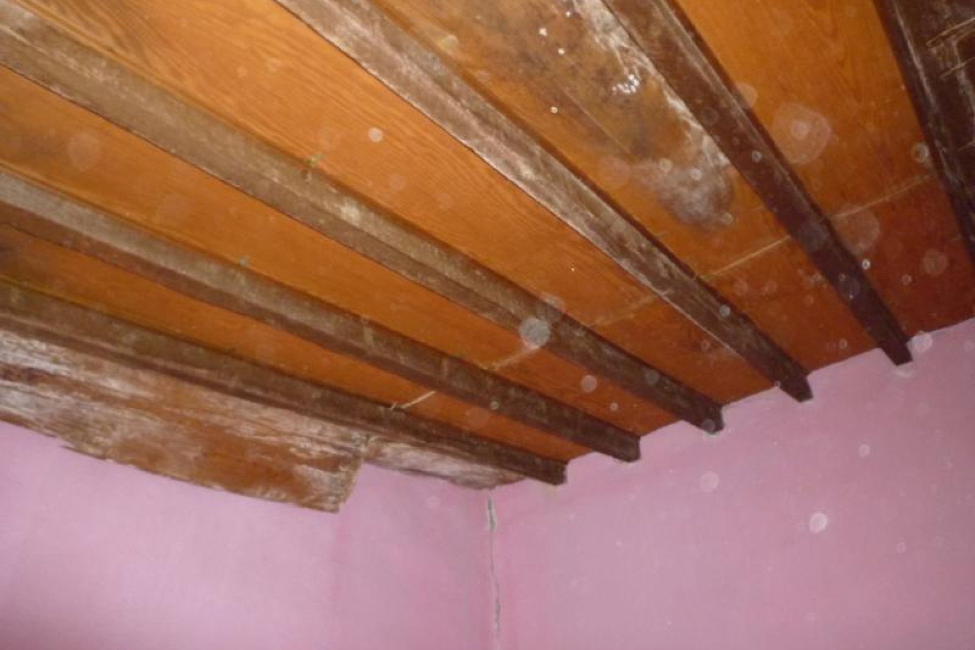 Resale - Finca / Country Property *  - Orihuela * - Desamparados-Hurchillo-Torremendo