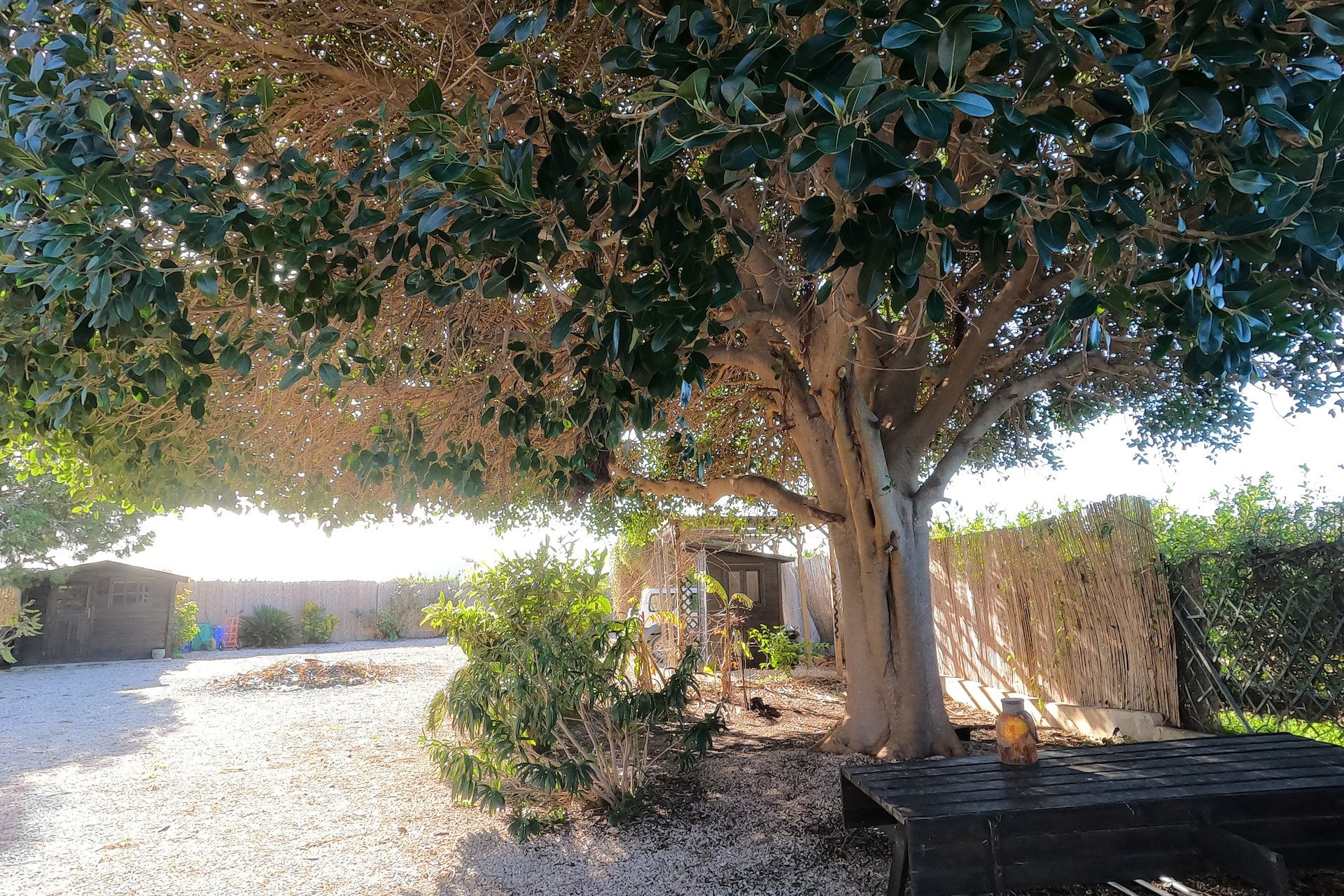 Resale - Finca / Country Property *  - Orihuela *