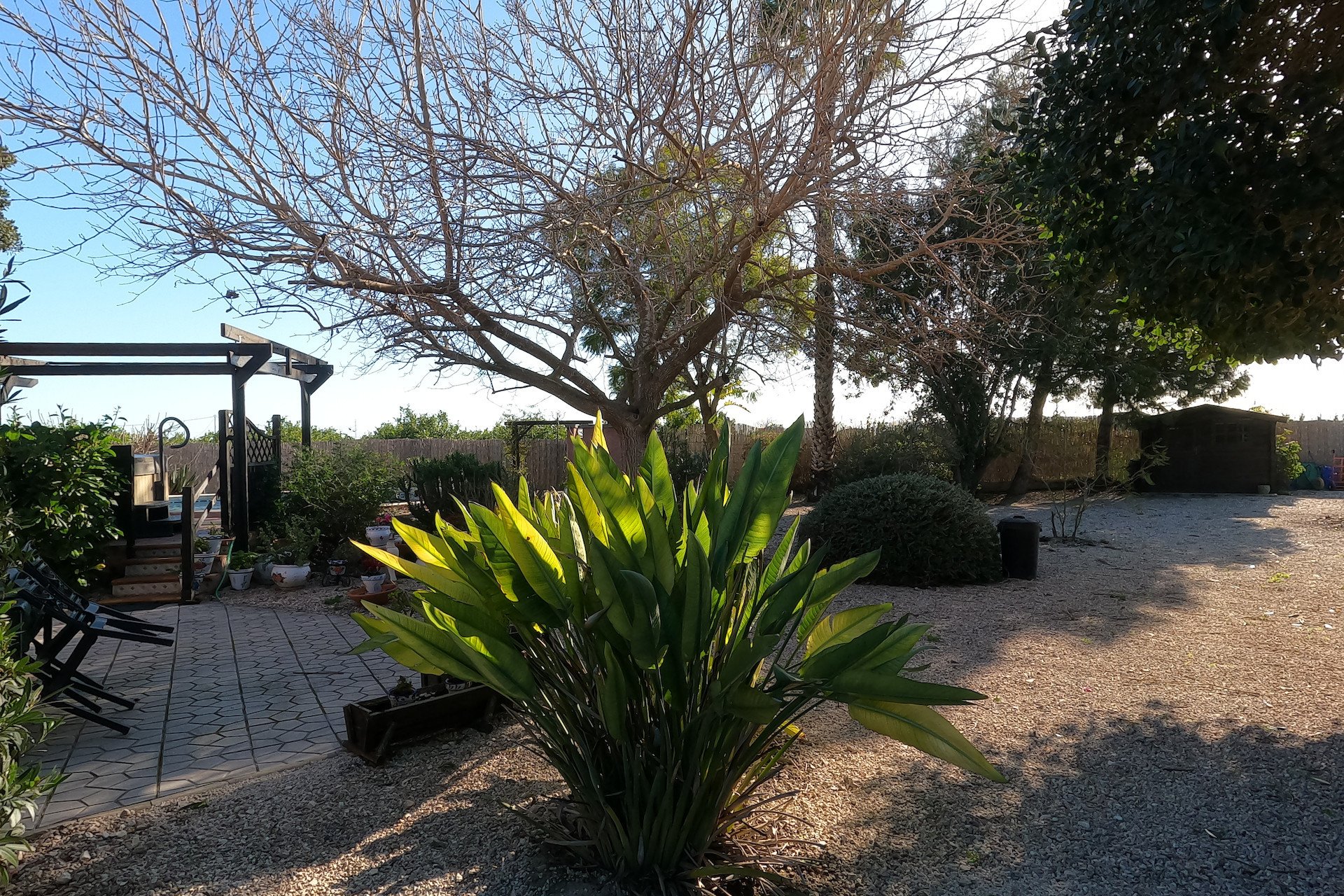 Resale - Finca / Country Property *  - Orihuela *