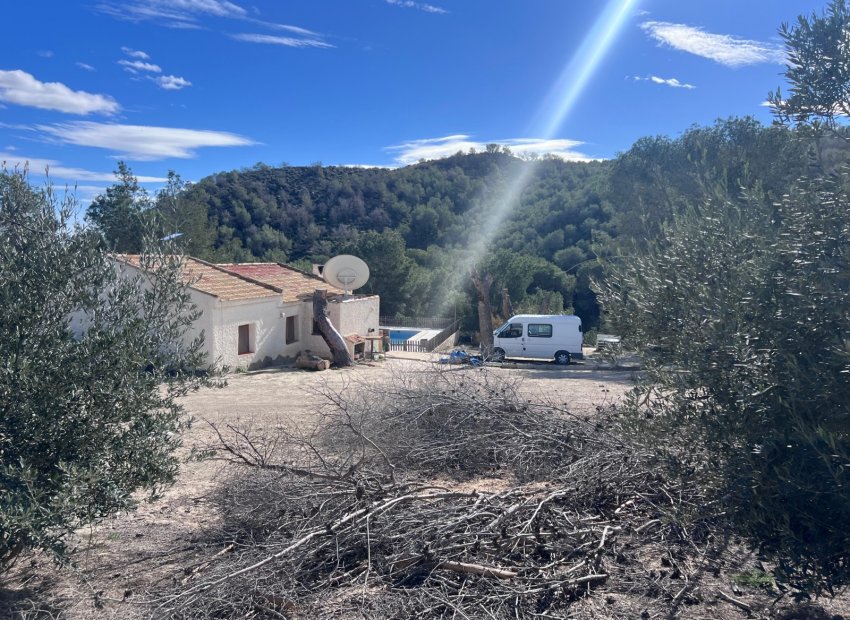 Resale - Finca / Country Property *  - Torremendo *